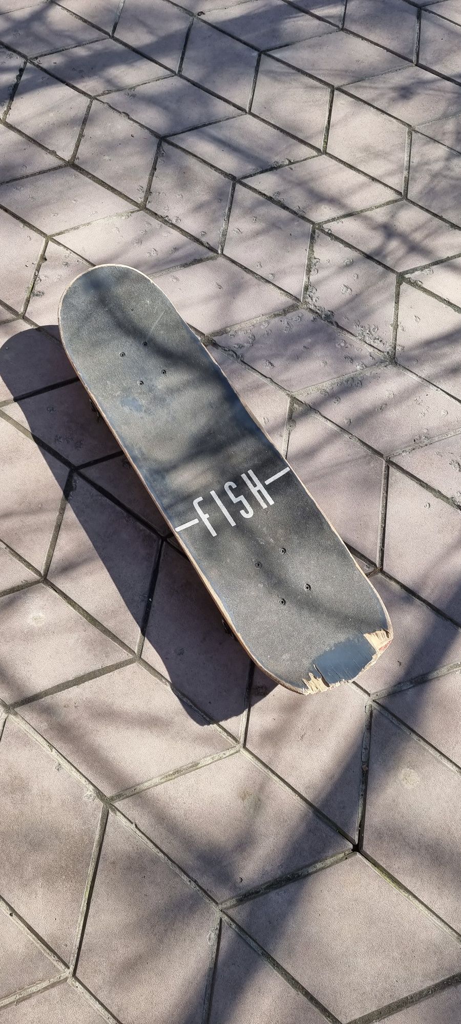 Скейтборд Fish принт TRI