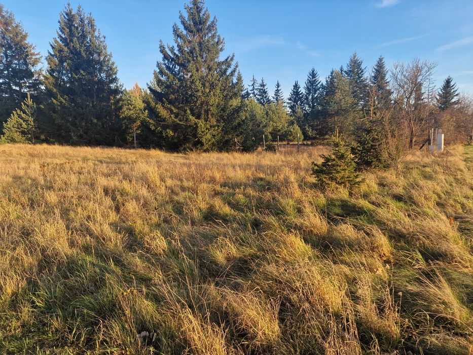 Działka budowlana Zbietka