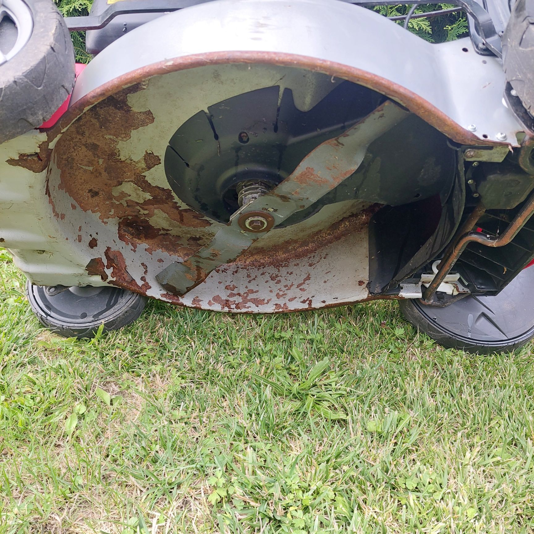 Kosiarka spalinowa Mounfield Honda