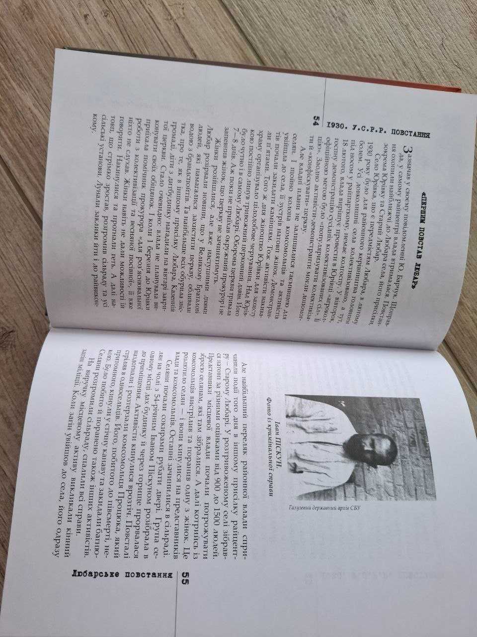 "1930 У.С.Р.Р. Повстання", Володимир Тиліщак