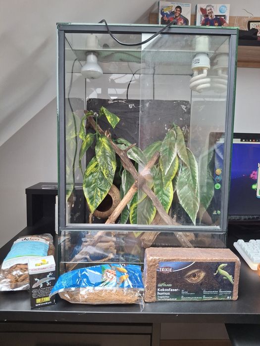 Terrarium plus akcesoria
