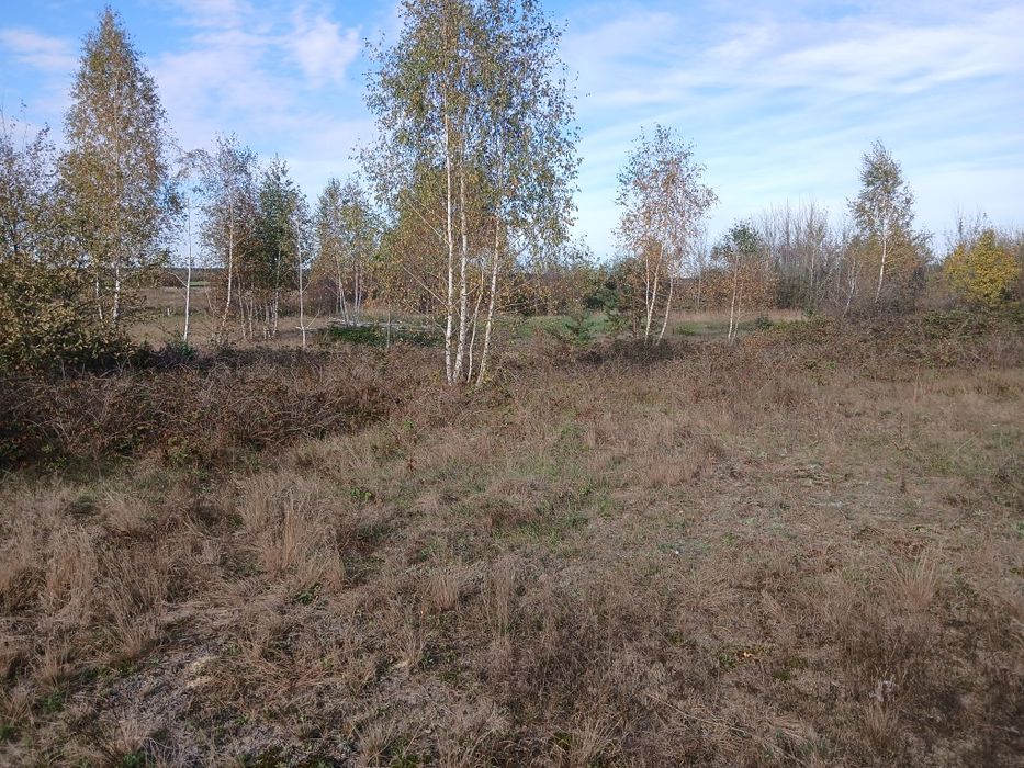 Продаж земельної ділянки