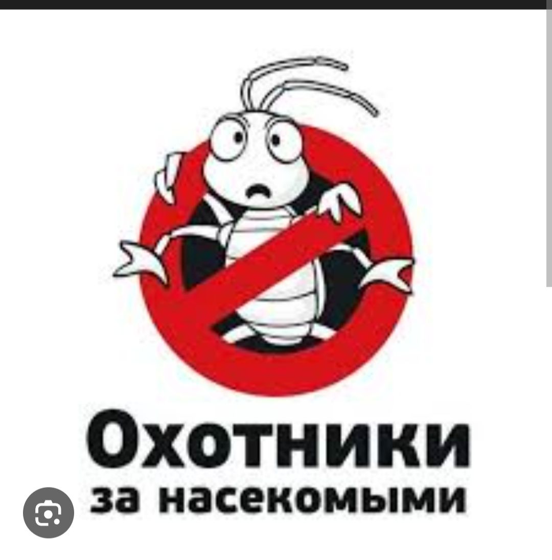 Обработка от клопов,тараканов,блох.