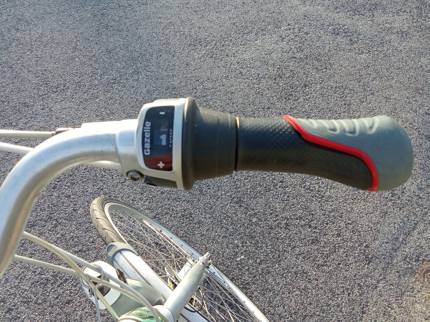 Bicicleta gazele