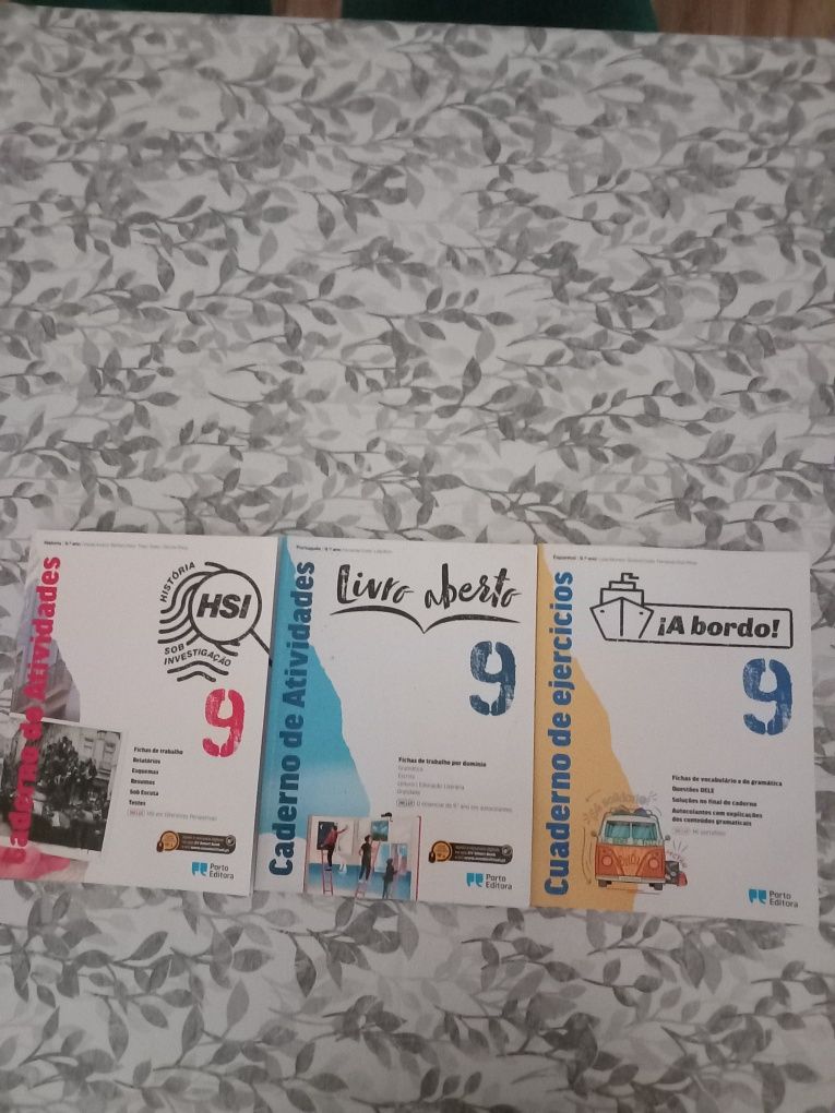 Caderno de Actividades 9° ano