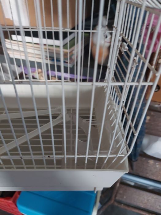 Gaiola pequena branca