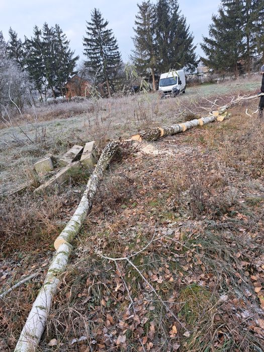 Wycinka drzew podnośnik koszowy rębak mulczer wycinka alpinistyczna