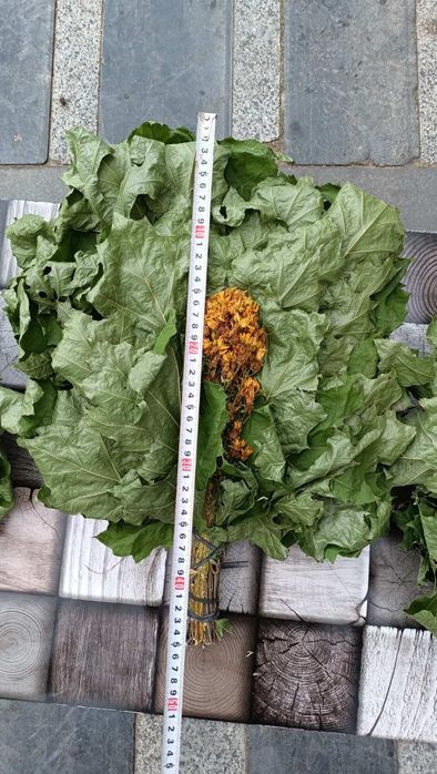 Запашні віники для бані