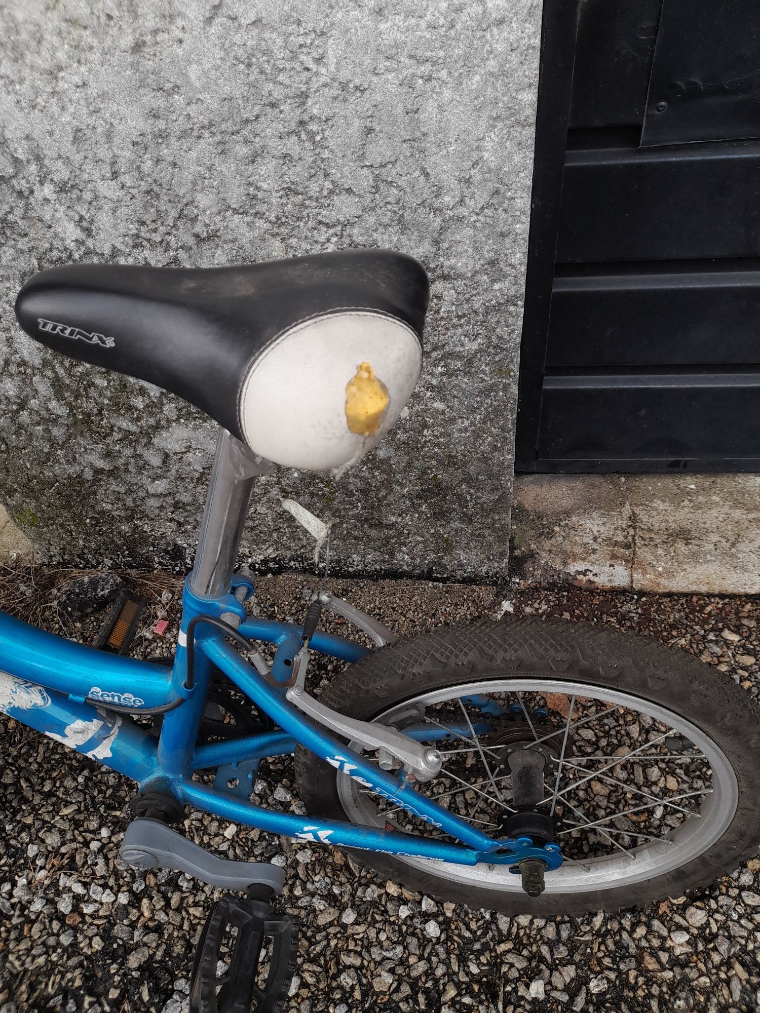 Bicicleta infantil