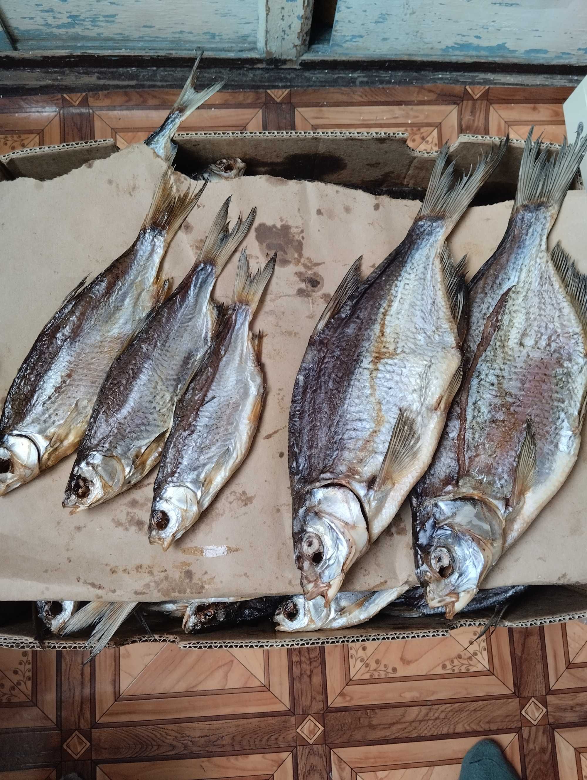 Продам раки живі в наявності, вялена риба лящ, плотва