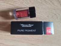 Nowy pigment cień Pierre Rene nr 12