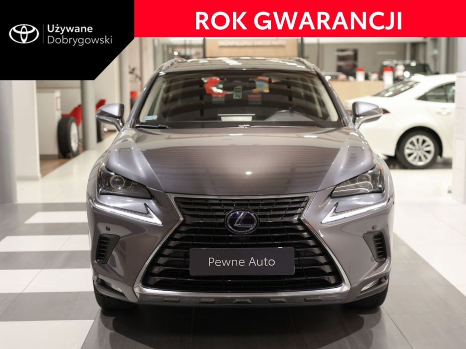 Lexus NX 300h Optimum AWD Business Oferta Dealera Gwarancja
