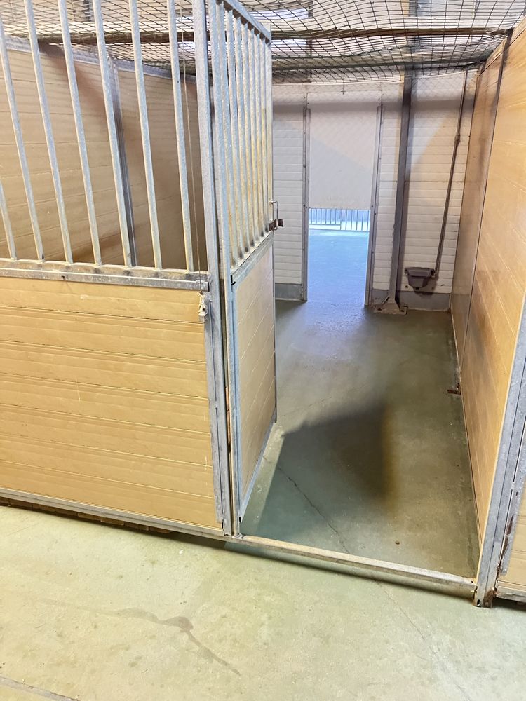 Dog hotel / Dog Training