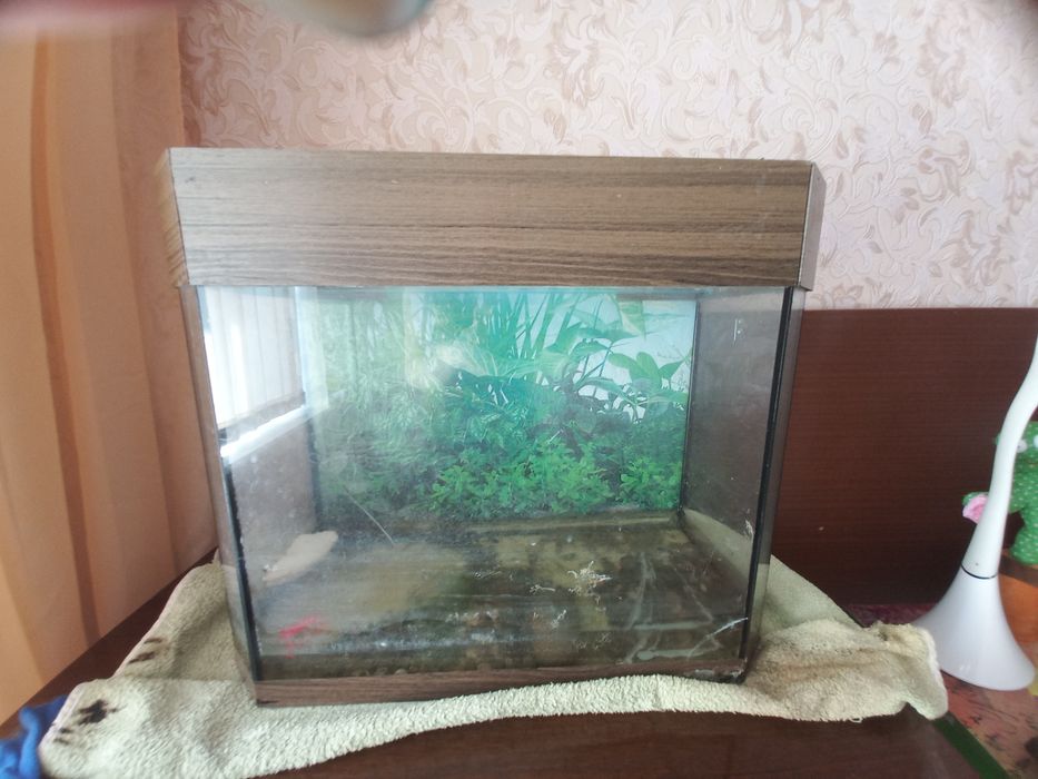 Акваріум або тераріум 70 л