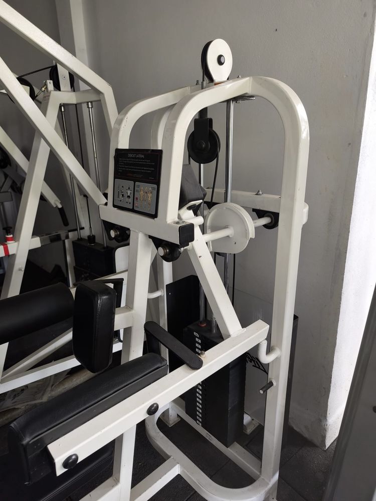 Life fitness lateral raises pro 1