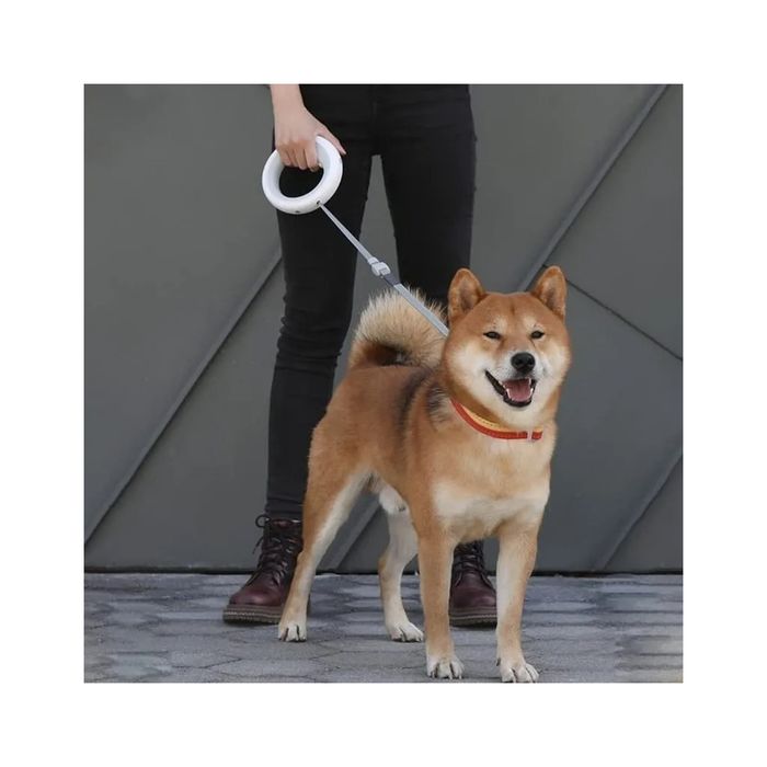 Trela Retrátil LED recarregável para cães