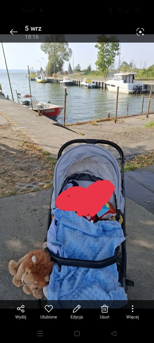 X-lander wózek niemowlęcy unisex