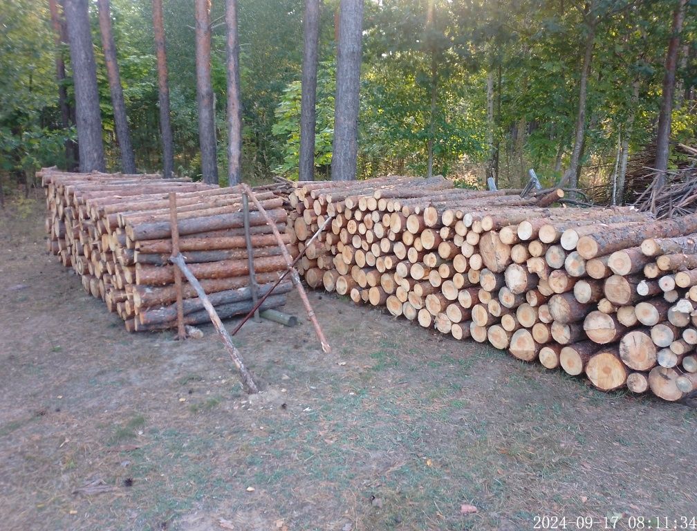 Drewno opałowe, kominkowe, sosna, opał, papierówka - 120 zł/mp