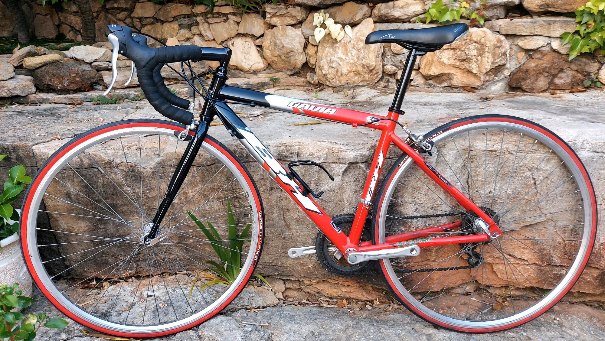 BH Gavia oportunidade t49