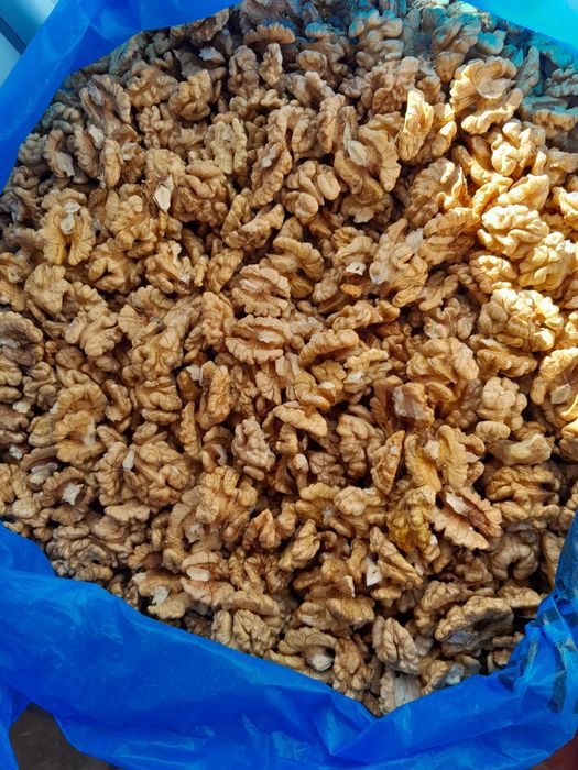 Продам грецький горіх