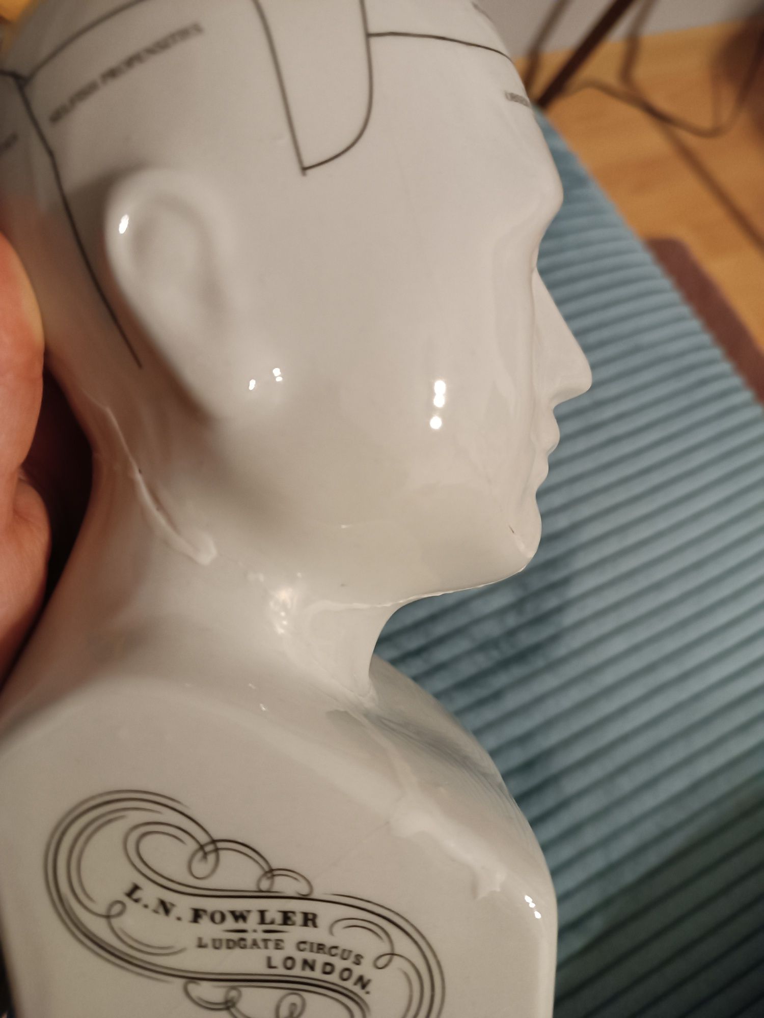 Figurka phrenology