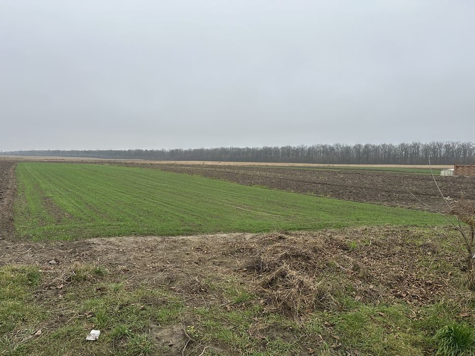 Продам земляну ділянку під забудову