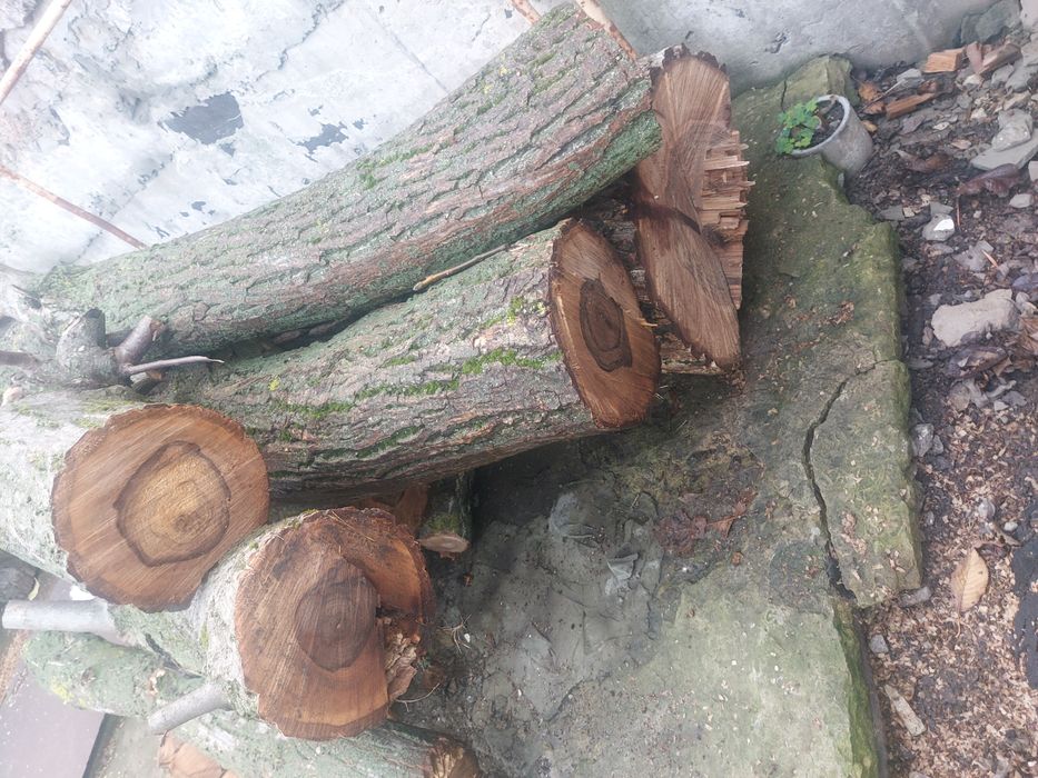 Стовбур горіха 8 шт діамтр різний самовивіз