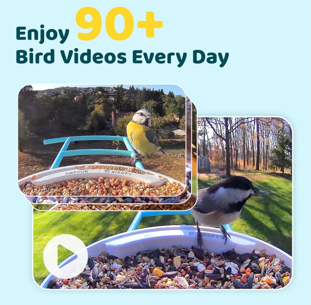 Kamera z karmnikiem dla ptaków NETVUE by Birdfy Smart