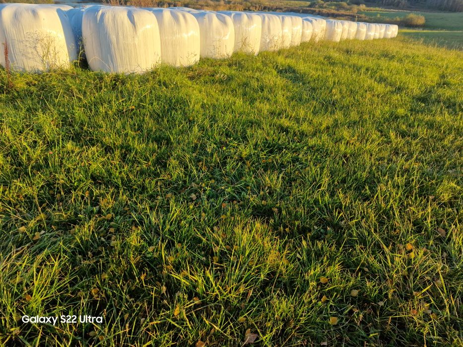 Baloty 2025 Sianokiszonka