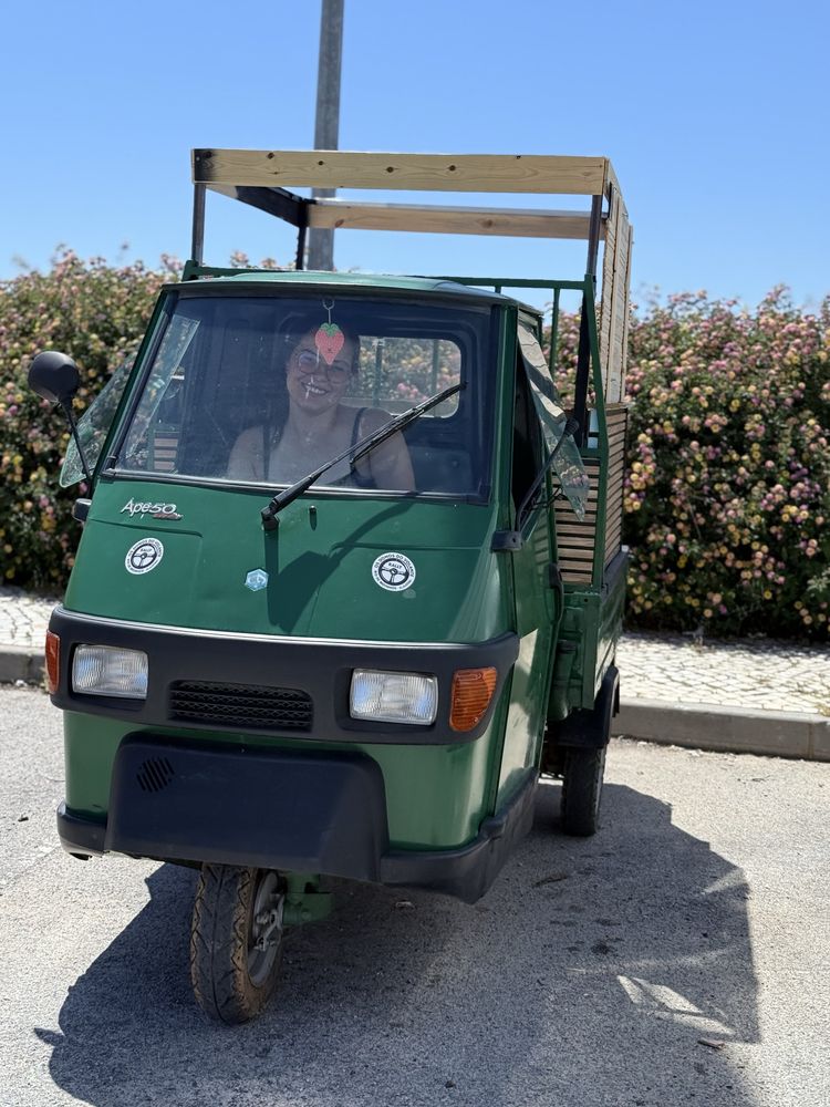 Piaggio ape 50 top