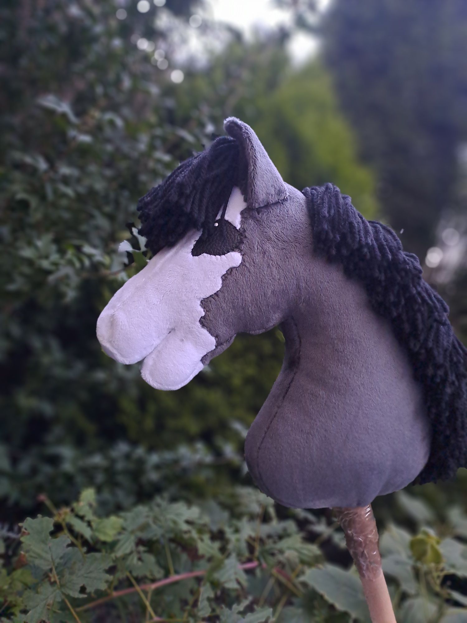 Hobby horse myszaty