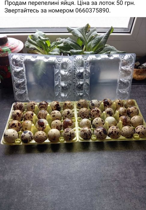 Продам все що на картинці