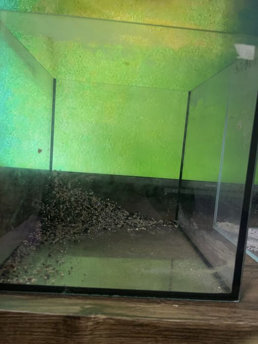 Akwarium 13-14L uzywane stan Bardzo dobry