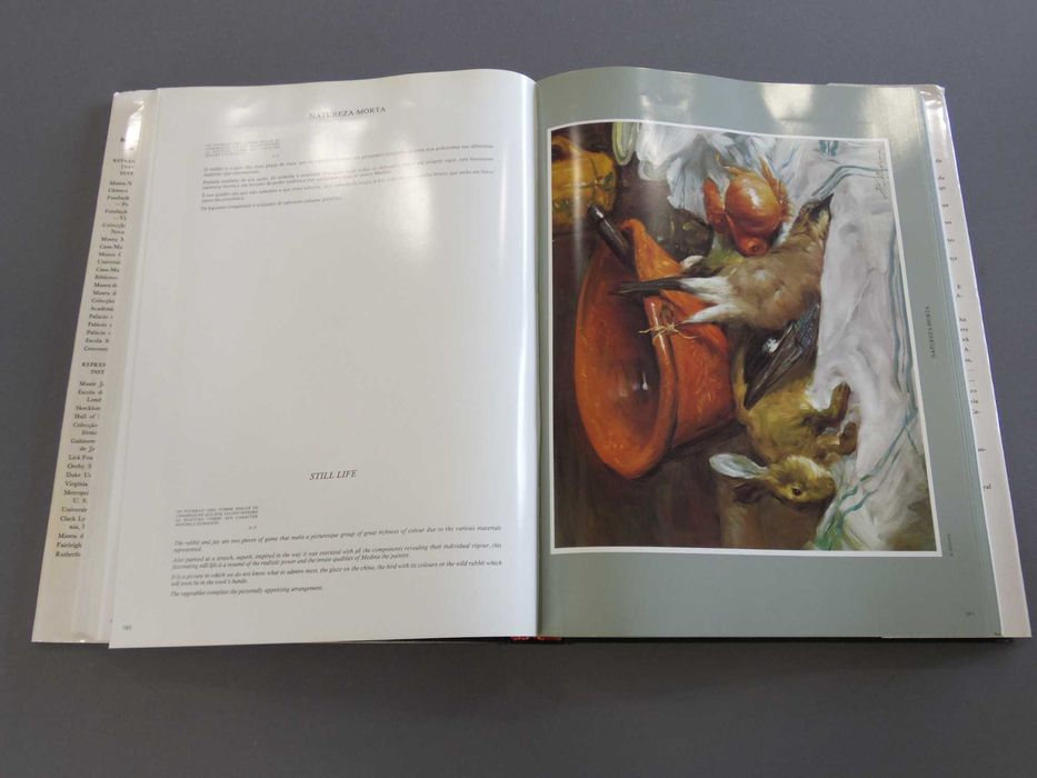 Livro Medina - 70 Anos de Pintura