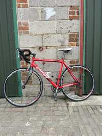 Scott speedster 54 ultegra 105 fulcrum