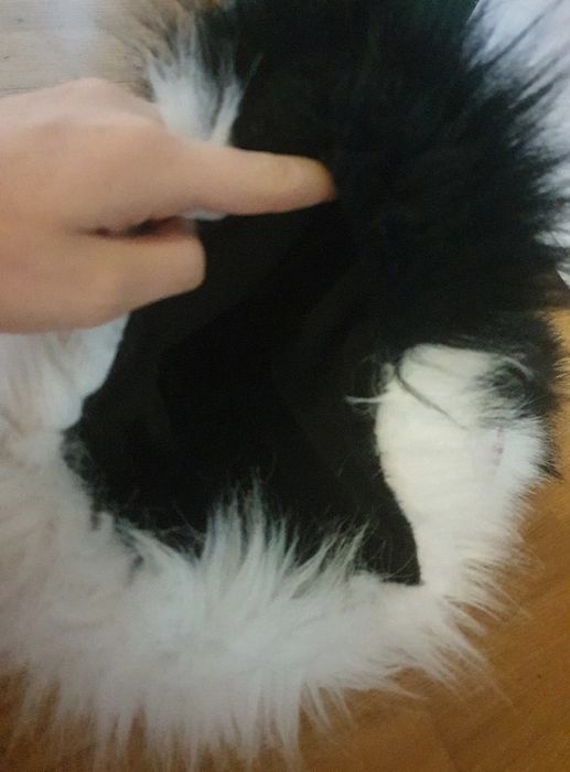 Furry fursuit dino maska