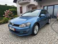 Volkswagen Golf ParkAssist Nawi Klimatronic Grz.Fotele Tempomat Alu16 Zadbany Top
