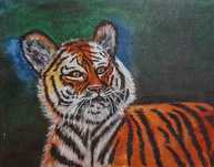 Pintura Acrílico