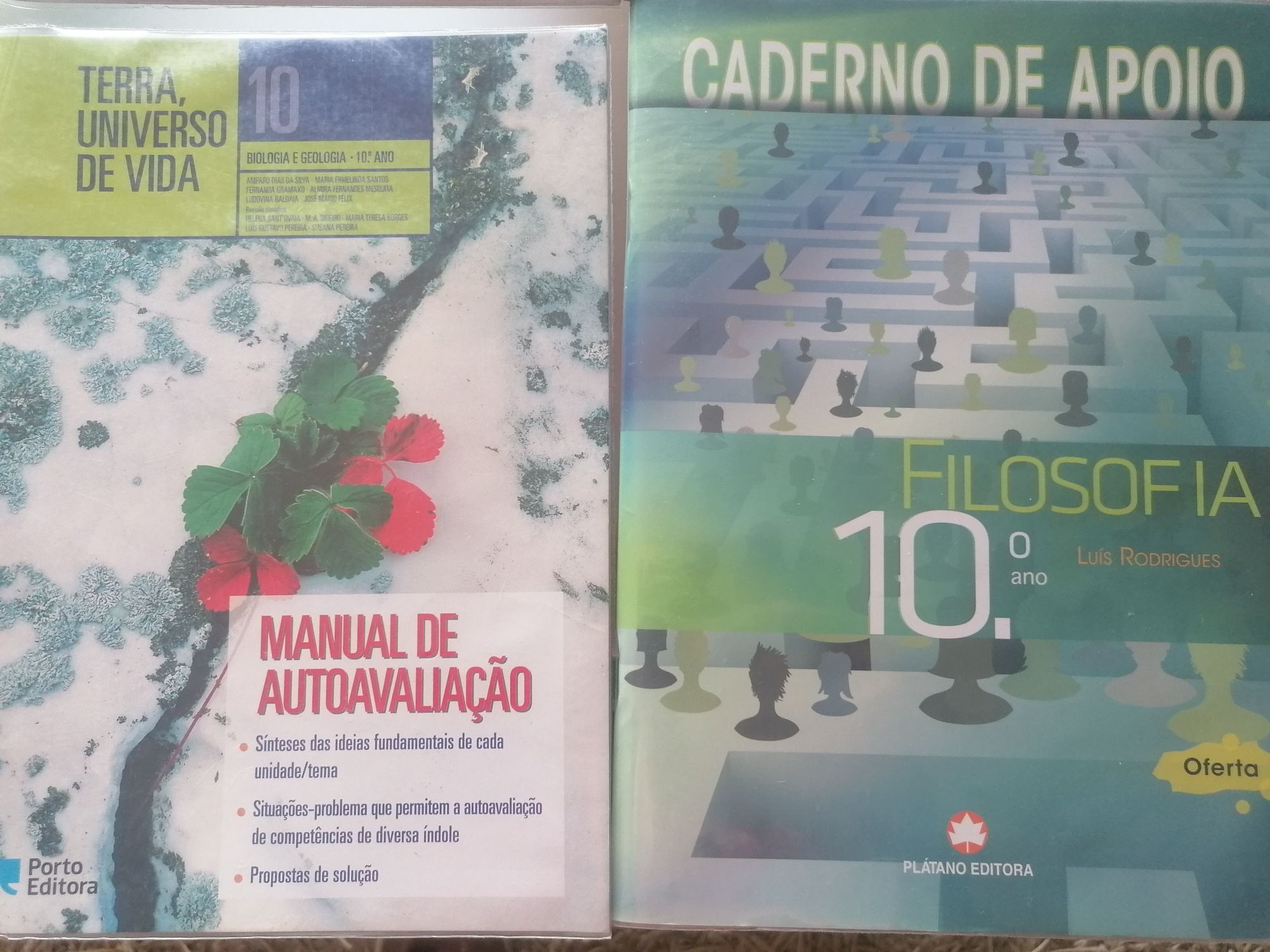 Cadernos de Atividades - 10.º Ano - como novos