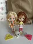 Zestaw: 2 lalki Mini Blythe LPS (Littlest Pet Shop)+ kotek + akcesoria