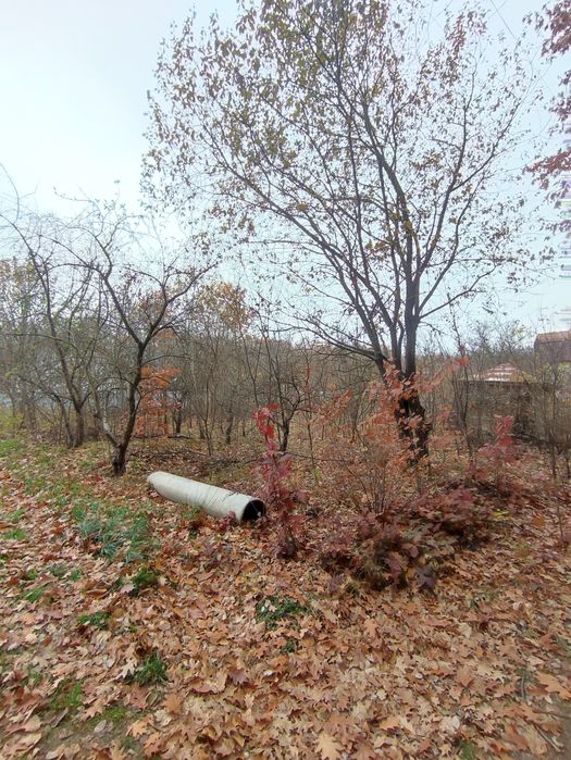 Ділянка Дача Дем'янів Лаз