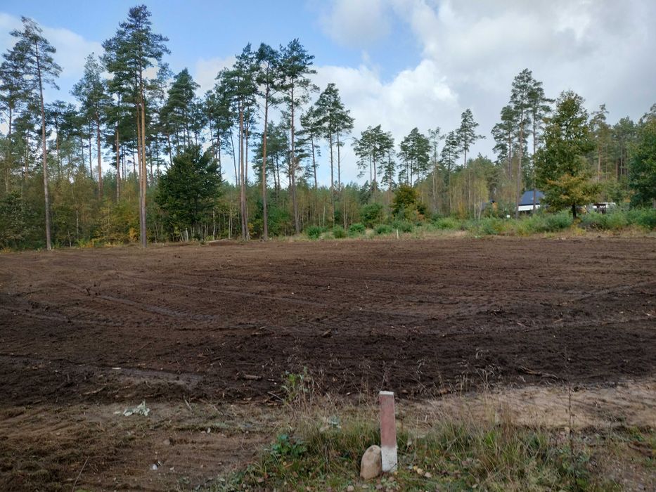 mulczer leśny  mulczowanie czyszczenie dzialek karczowanie