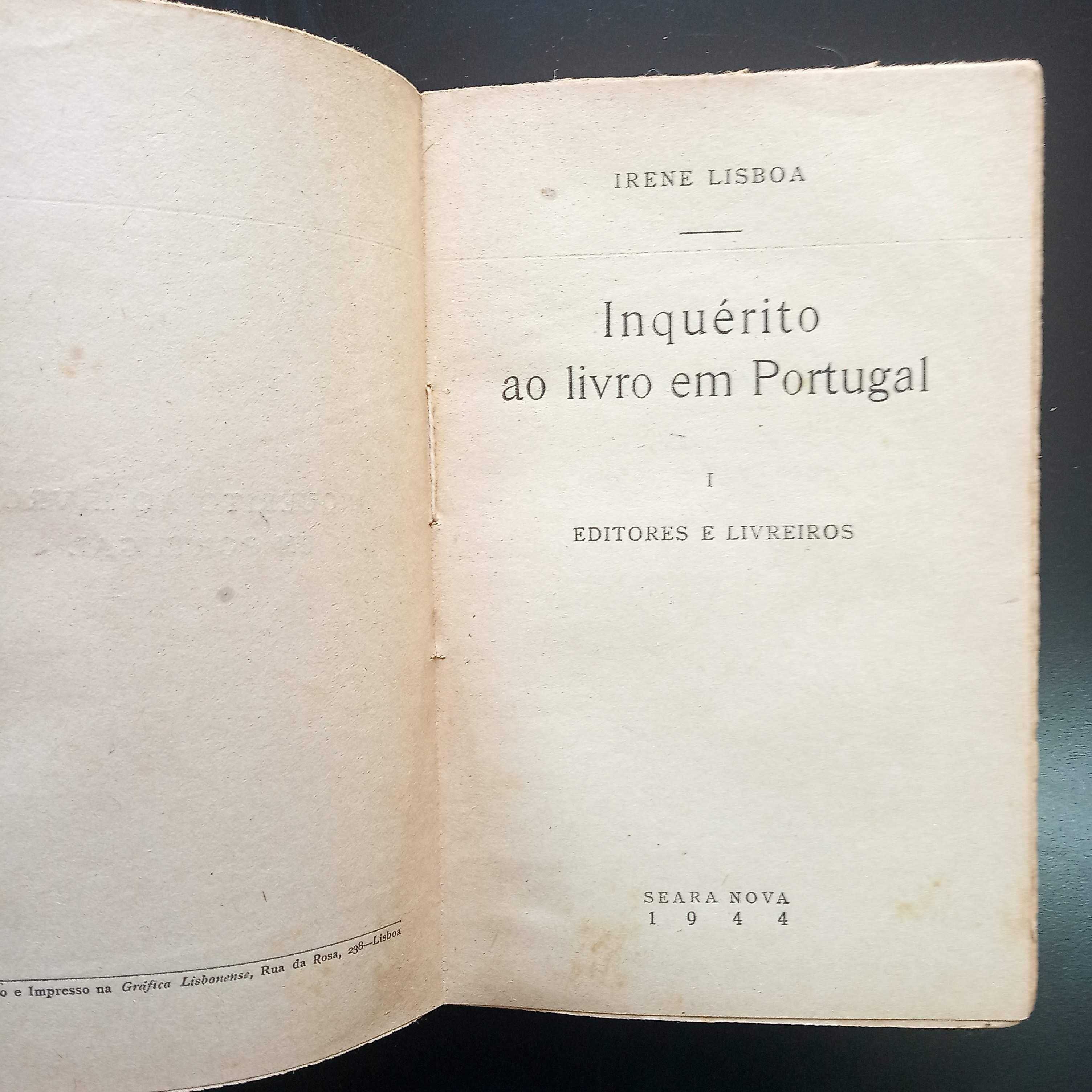 Inquérito ao livro em Portugal I de Irene Lisboa