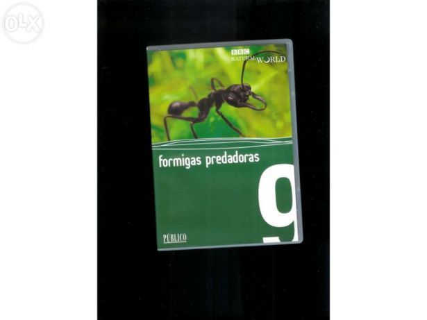 BBC Formigas Predadoras (portes incluídos)