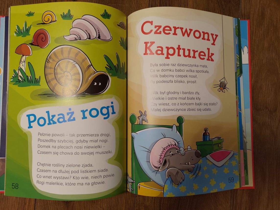 Wielka księga zagadek