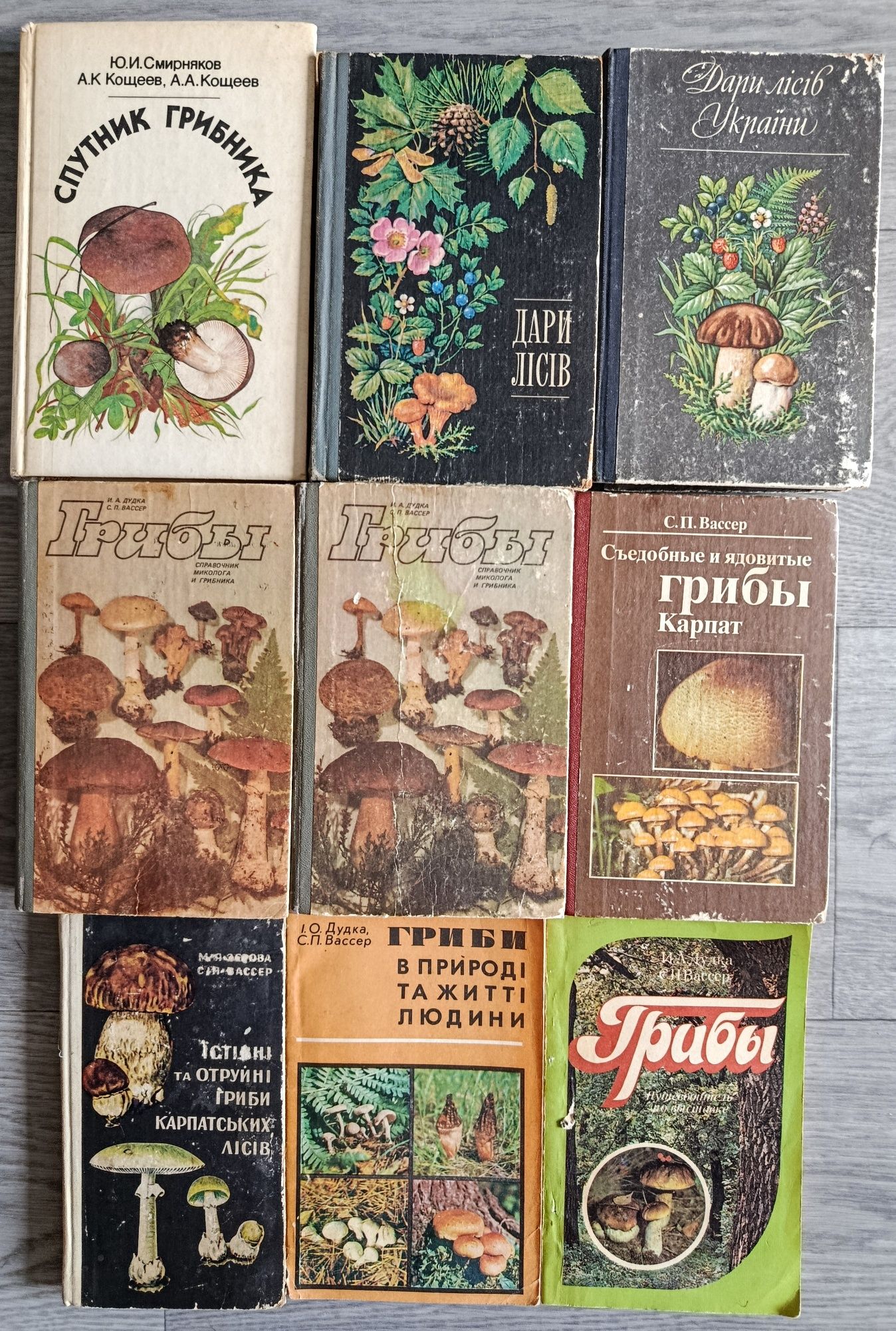 Лікарські та кімнатні рослини, столярна справа. Кулінарія та кондитерк