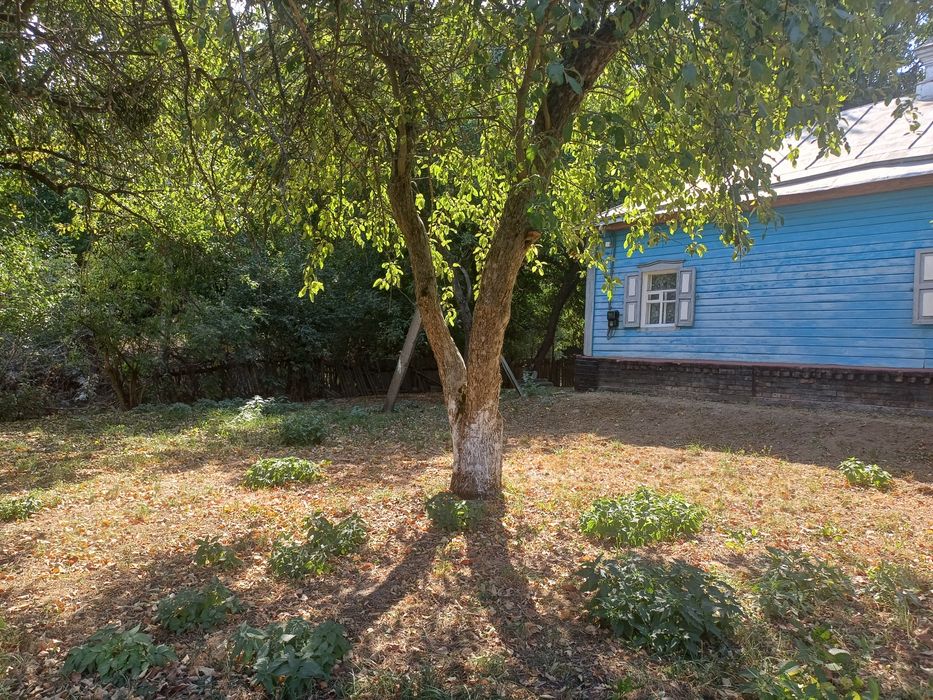 Продам будинок в смт Опішня