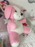 Urso peluche rosa