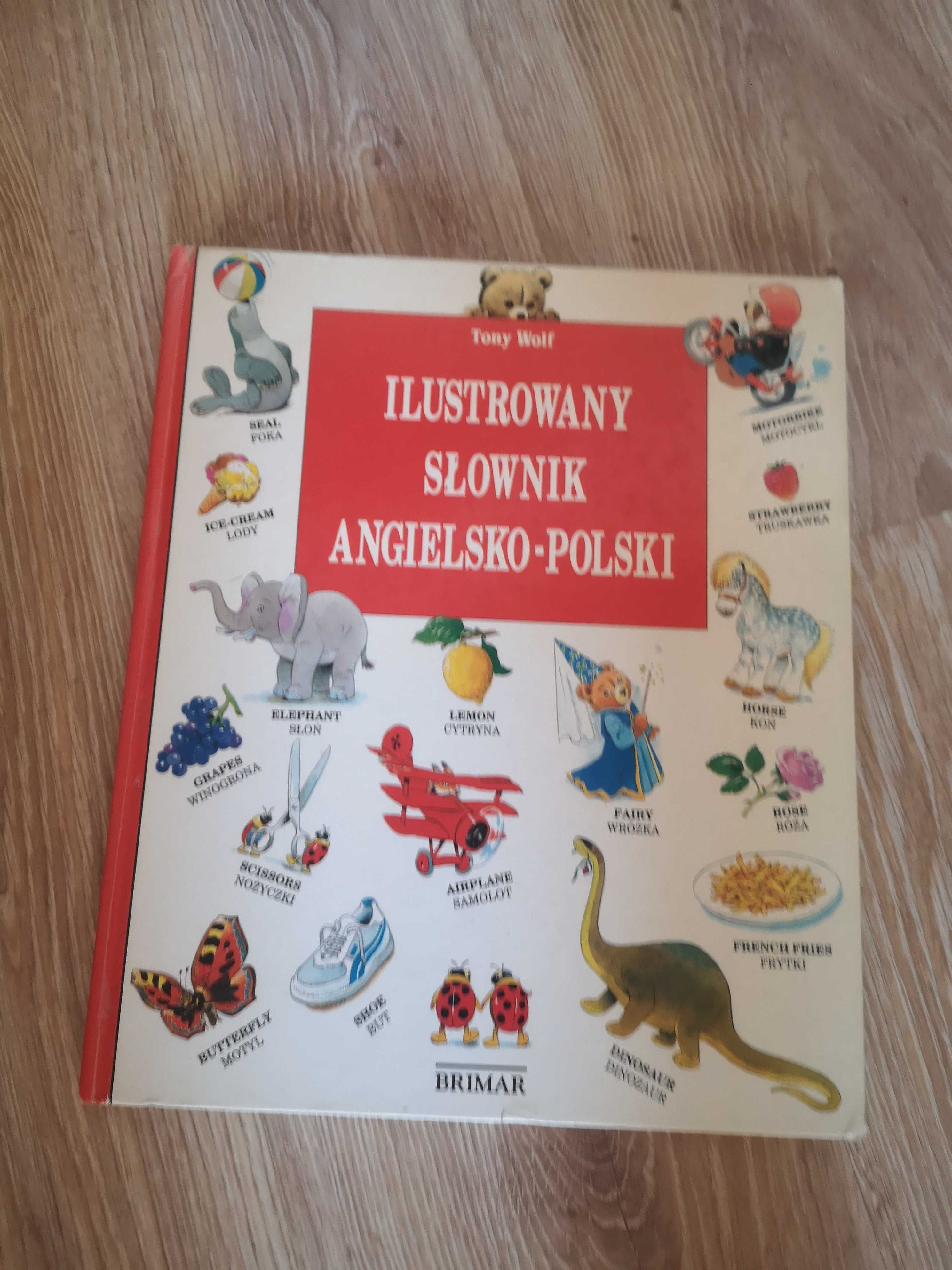 Ilustrowany słownik angielsko-polski dla dzieci Tony Wolf