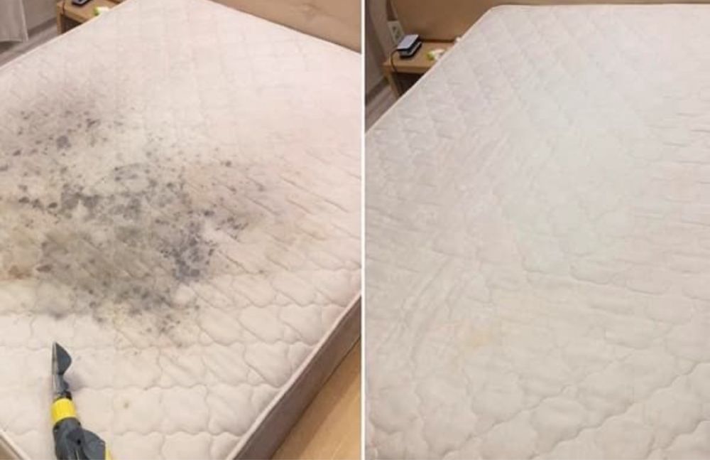 Higienizaçao lavagem a seco sofas colchoes cadeiras avpartir de 25,00